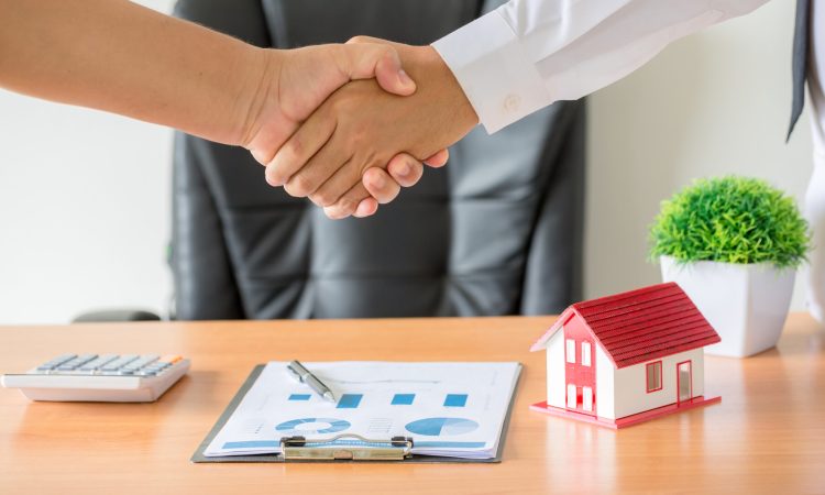 Insurance Insurance
